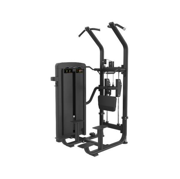 Commercial Assisted Chin Dip Combo Machine